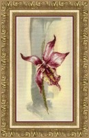 Лиловая орхидея /РК-111