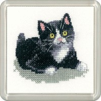 Черно-белый котенок /1259A-CFBW