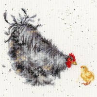 Курица с цыплёнком /XHD50