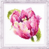 Розовый тюльпан /150-013