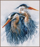 Большие голубые цапли (Great blue herons)
