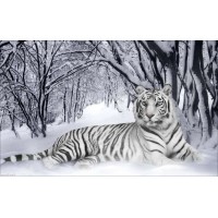 Белый тигр /ИБ-07