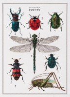 История насекомых /566