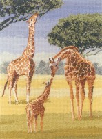 Жирафы /1023-PGGI