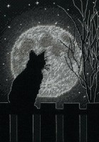 Лунный черный кот