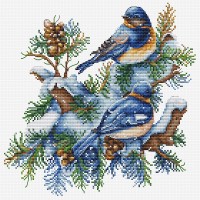 Птицы-Зима /B2418