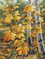 Золото кленовых листьев /1559