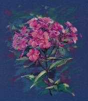 Флоксы