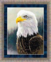 Набор для вышивания Белоголовый орлан (Bald Eagle)