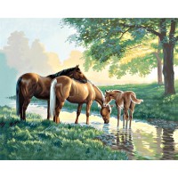 Раскраска (рисование по номерам) Лошади на водопое /91159