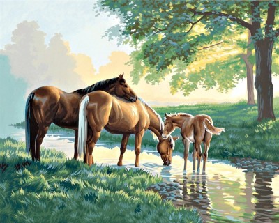 Раскраска (рисование по номерам) Лошади на водопое