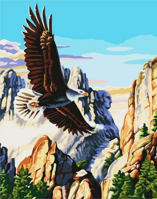 Раскраска (рисование по номерам) Стихия орла