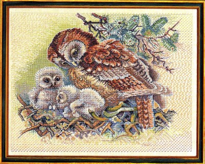 Набор для вышивания Гнездо совы (Owl)