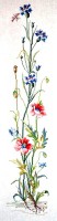 Набор для вышивания Маки и васильки (Cornflower & poppy) /13-032