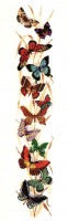 Набор для вышивания Бабочки (Butterflies) /14-255