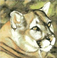 Набор для вышивания крестом Кугуар (Cougar) /JW-019K