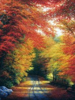 Набор для вышивания Осень в Англии