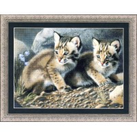 Набор для вышивания крестом Детеныши рыжей рыси (Bobcat Kittens)