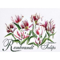Набор для вышивания Тюльпаны Рембрант  (лен)