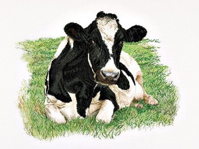 Набор для вышивания Корова (вид спереди) лен