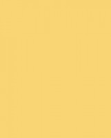 Краска для текстиля 60 мл /KAST04 GIALLO SOLE - sun (желтый)