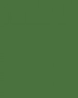 Краска для текстиля 60 мл /KAST18 VERDE PINO - pine green (сосновый)