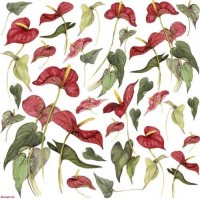 Салфетка рисовая для декупажа Красные цветы (Anthurium), 1 лист, 50 х 50 см /DFT139