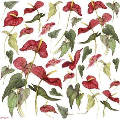 Салфетка рисовая для декупажа Красные цветы (Anthurium), 1 лист, 50 х 50 см