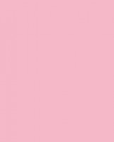 Краска для текстиля 60 мл /KAST11 ROSA BAMBOLA - dolly pink  (розовая куколка)