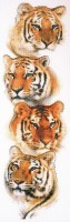 Набор для вышивания Тигры (Tiger Pack)