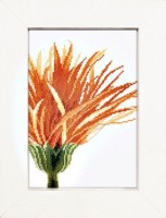 Набор для вышивания Раскрывающийся оранжевый цветок (канва) /PN-0008271 (35052А)
