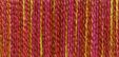 Мулине хлопок Anchor Multicolor 1315
