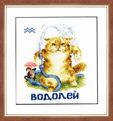 Набор для вышивания Знак зодиака Водолей